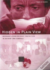 Capa do artigo Hidden In Plain View