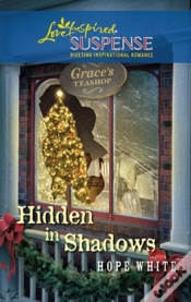 Capa do artigo Hidden In Shadows