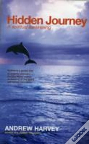 Capa do artigo Hidden Journey