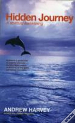 Capa do artigo Hidden Journey