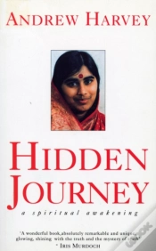 Capa do artigo Hidden Journey