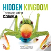 Capa do artigo Hidden Kingdom