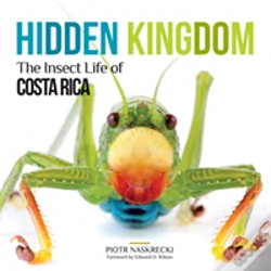 Capa do artigo Hidden Kingdom
