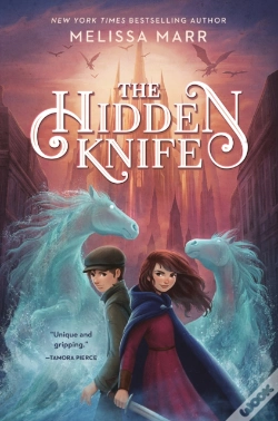 Capa do artigo Hidden Knife