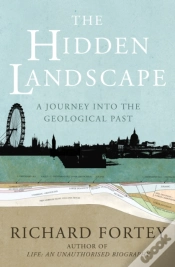 Capa do artigo Hidden Landscape