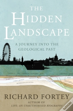 Capa do artigo Hidden Landscape
