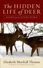 Hidden Life Of Deer - Preview