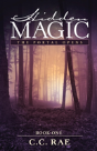 Hidden Magic - Preview