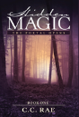 Hidden Magic - Preview