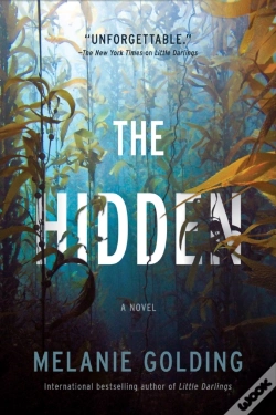 Capa do artigo Hidden