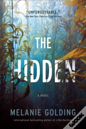Capa do artigo Hidden