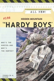 Capa do artigo Hidden Mountain