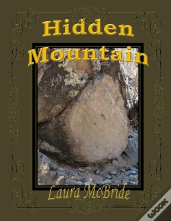 Capa do artigo Hidden Mountain