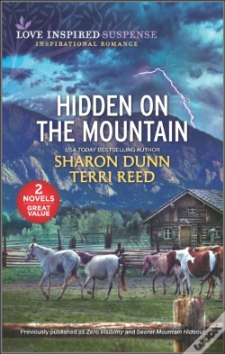 Capa do artigo Hidden On The Mountain