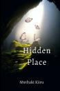 Hidden Place - Preview
