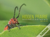 Hidden Prairie