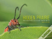 Capa do artigo Hidden Prairie