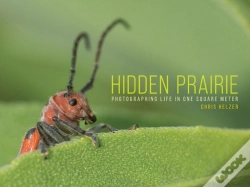 Capa do artigo Hidden Prairie