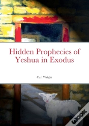 Capa do artigo Hidden Prophecies Of Yeshua In Exodus