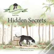 Capa do artigo Hidden Secrets