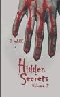 Hidden Secrets: When Love Goes Wrong - Preview