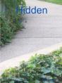 Hidden - Preview