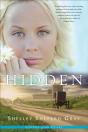 Hidden - Preview