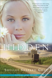 Capa do artigo Hidden