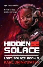 Capa do artigo Hidden Solace