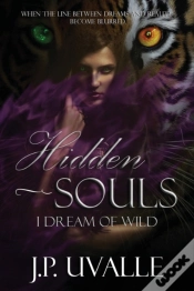 Capa do artigo Hidden Souls