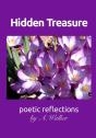 Hidden Treasure - Preview