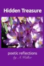 Hidden Treasure - Preview