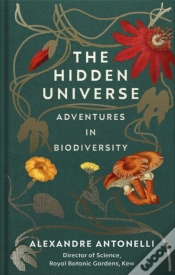 Capa do artigo Hidden Universe