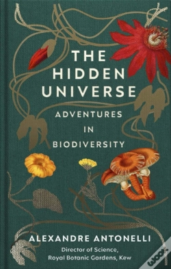 Capa do artigo Hidden Universe