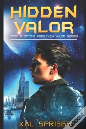 Capa do artigo Hidden Valor