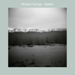 Capa do artigo Hidden - Vinil