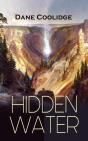 Hidden Water - Preview