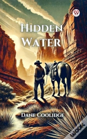 Capa do artigo Hidden Water