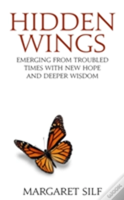 Capa do artigo Hidden Wings