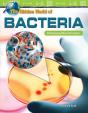 Hidden World Of Bacteria - Preview
