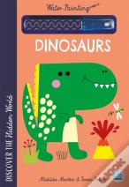 Hidden World - Water Painting Dinosaurs