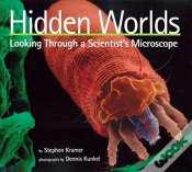 Capa do artigo Hidden Worlds