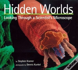 Capa do artigo Hidden Worlds