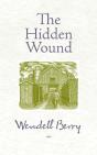 Hidden Wound - Preview