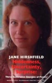 Hiddenness, Uncertainty, Surprise