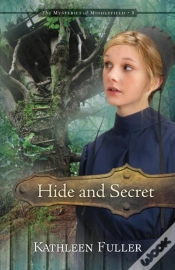 Capa do artigo Hide And Secret