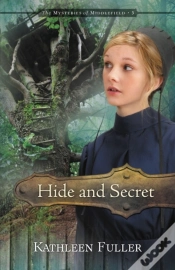 Capa do artigo Hide And Secret