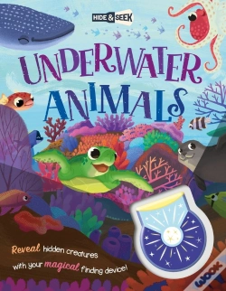 Capa do artigo Hide-And-Seek Underwater Animals