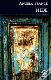 Capa do artigo Hide