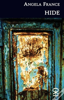 Capa do artigo Hide